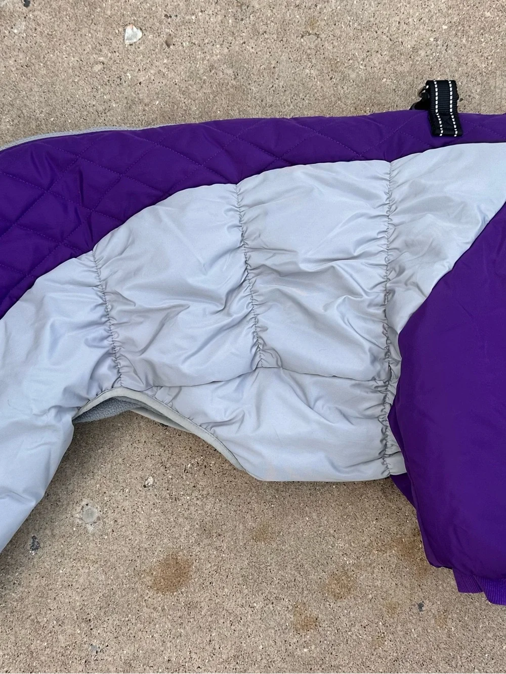 N/A xxl full